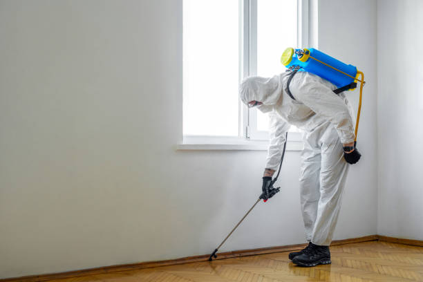 Best Pest Removal Services  in North Liberty, IN