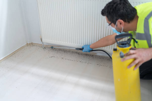 Best Rat Extermination Near Me  in North Liberty, IN
