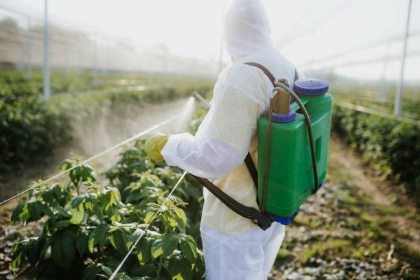 Best Pest Inspection Near Me  in North Liberty, IN